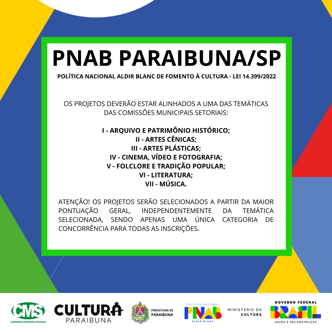 TEMÁTICAS DOS PROJETOS